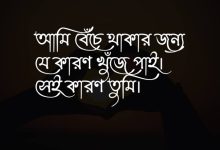 ভালোবাসার স্ট্যাটাস