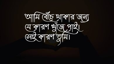 ভালোবাসার স্ট্যাটাস