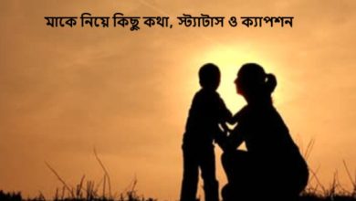 ছেলেকে নিয়ে মায়ের স্ট্যাটাস