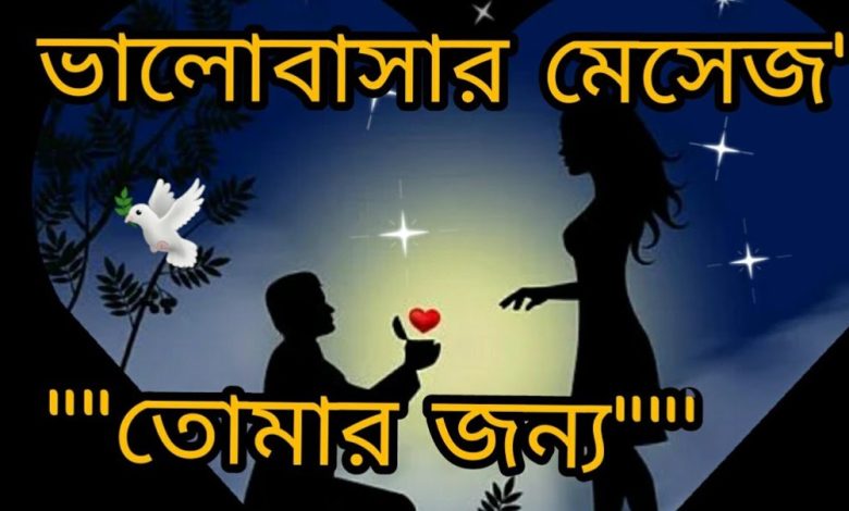 প্রেমের এসএমএস মেসেজ ২০২৪