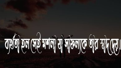 সুখের স্ট্যাটাস ২০২৪