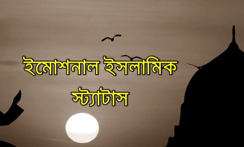 ইমোশনাল ইসলামিক স্ট্যাটাস 2024