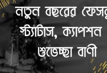 নতুন বছরের শুভেচ্ছা 2025 ক্যাপশন