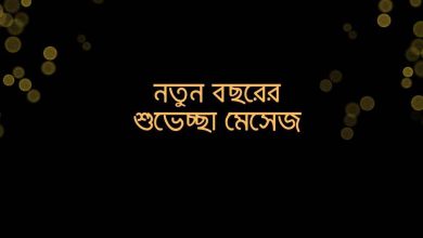 নতুন বছরের শুভেচ্ছা মেসেজ বন্ধু