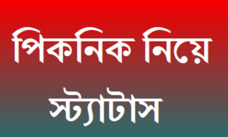 পিকনিক নিয়ে স্ট্যাটাস