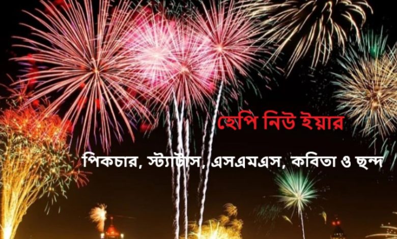 হ্যাপি নিউ ইয়ার 2025 নিয়ে ফেসবুক স্ট্যাটাস